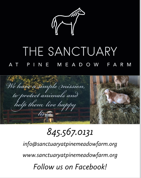 The Sanctuary at Pine Meadow Farm